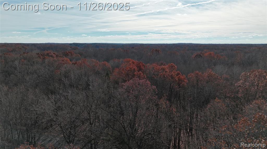 9300 Bath Road, Laingsburg, MI 48848 — Photo 19
