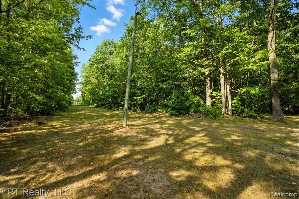 5595 Bringold Avenue, Lincoln, MI 48632 — Photo 29