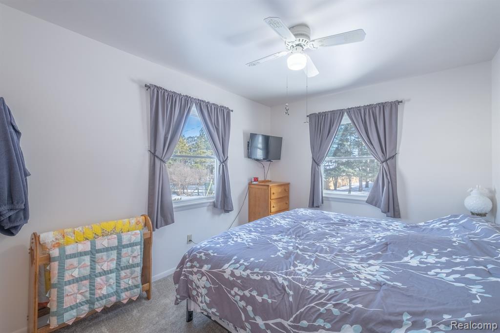 715 E TURNER Street, Mayville Vlg, MI 48744 — Photo 11
