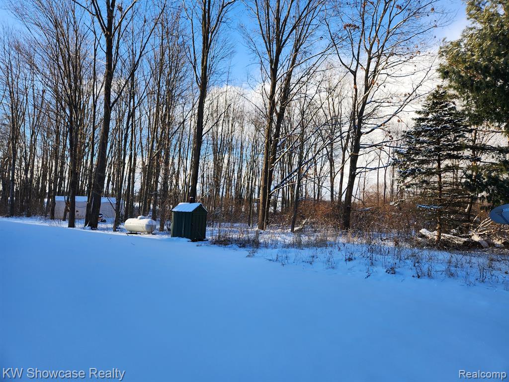 9246 WHITE Road, Linden, MI 48451 — Photo 89