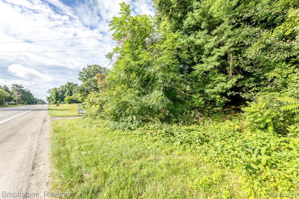 4188 Lakeshore Drive Road, Lexington, MI 48450 — Photo 4