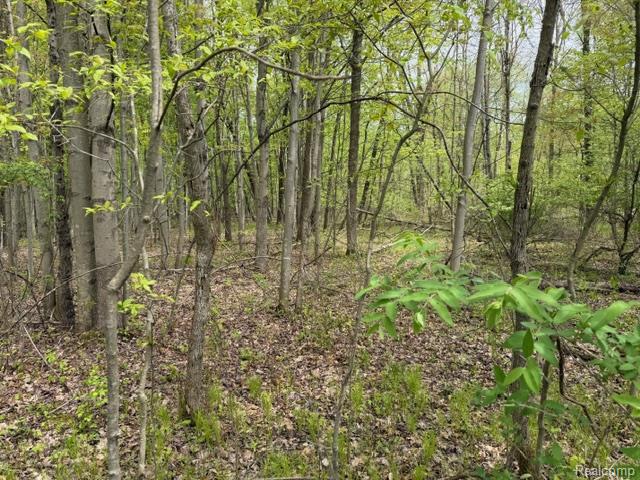 V/L Green Creek Ln, Oxford, MI 48371 — Photo 9