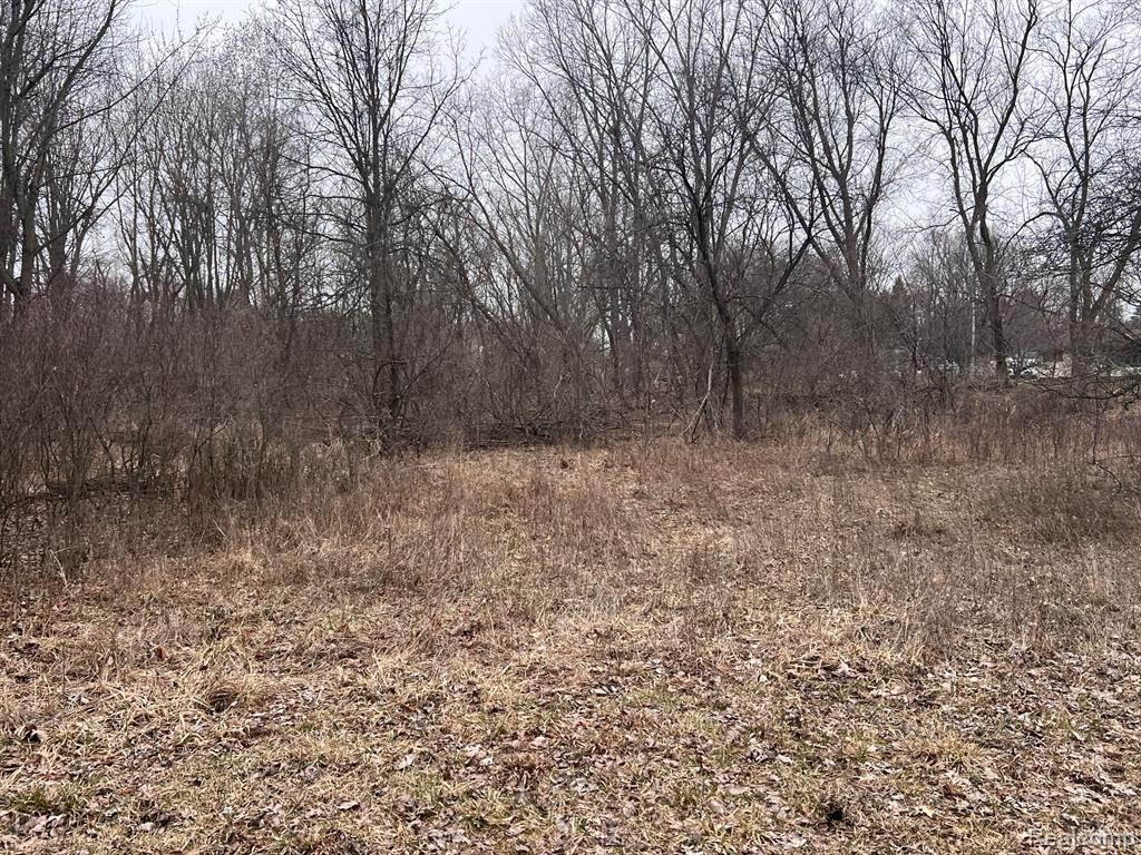 VL Washington Street, Perry, MI 48872 — Photo 12