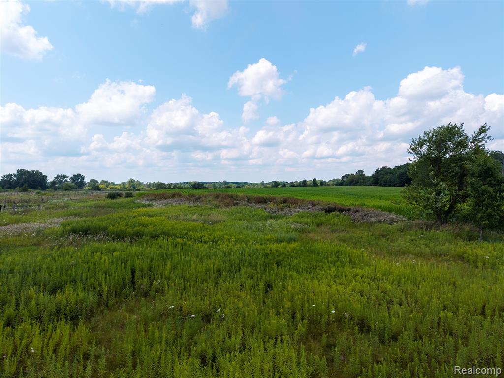 VL Sharp Road, Swartz Creek, MI 48473 — Photo 23