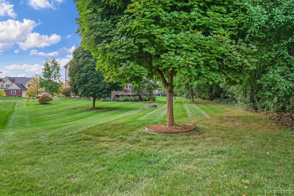 30182 Magnolia Dr Magnolia Drive, New Hudson, MI 48165 — Photo 38
