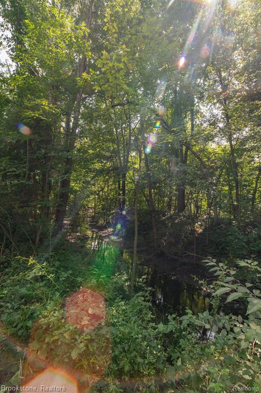 VL Sashabaw Road, Ortonville, MI 48462 — Photo 11
