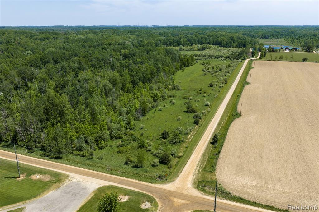 Parcel C Freiburger Rd, Snover, MI 48472 — Photo 5