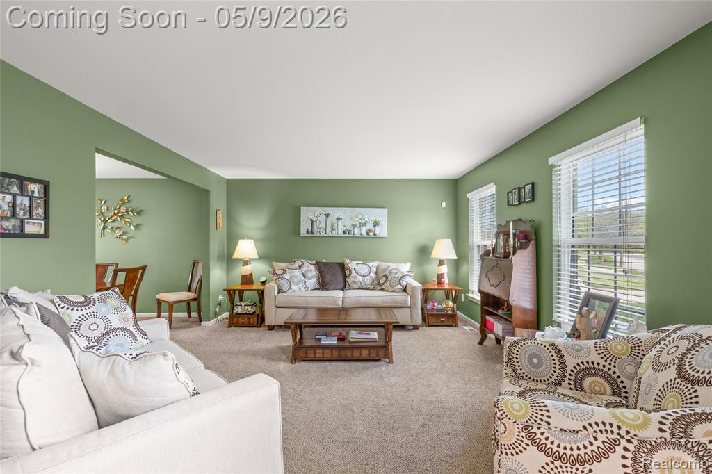 3314 Niagara Avenue, Canton, MI 48188 — Photo 9