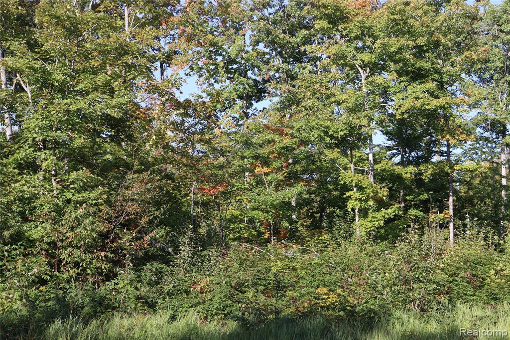 Lot D W Pendills Lake Road, Brimley, MI 49715 — Photo 16