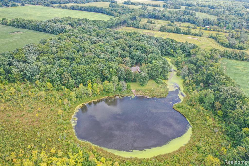 15000 Bishop Road, Byron, MI 48418 — Photo 24