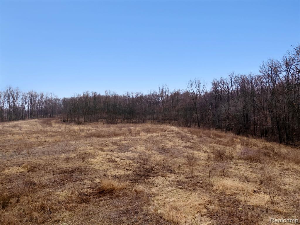 VL W SCHAFER Road, Howell, MI 48843 — Photo 8