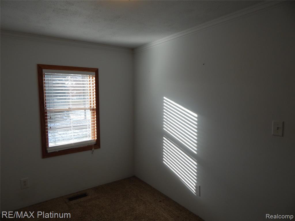 10321 E Lovejoy Road, Perry, MI 48872 — Photo 33