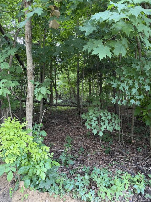 2200 Waterman Road, Mayville Vlg, MI 48744 — Photo 20