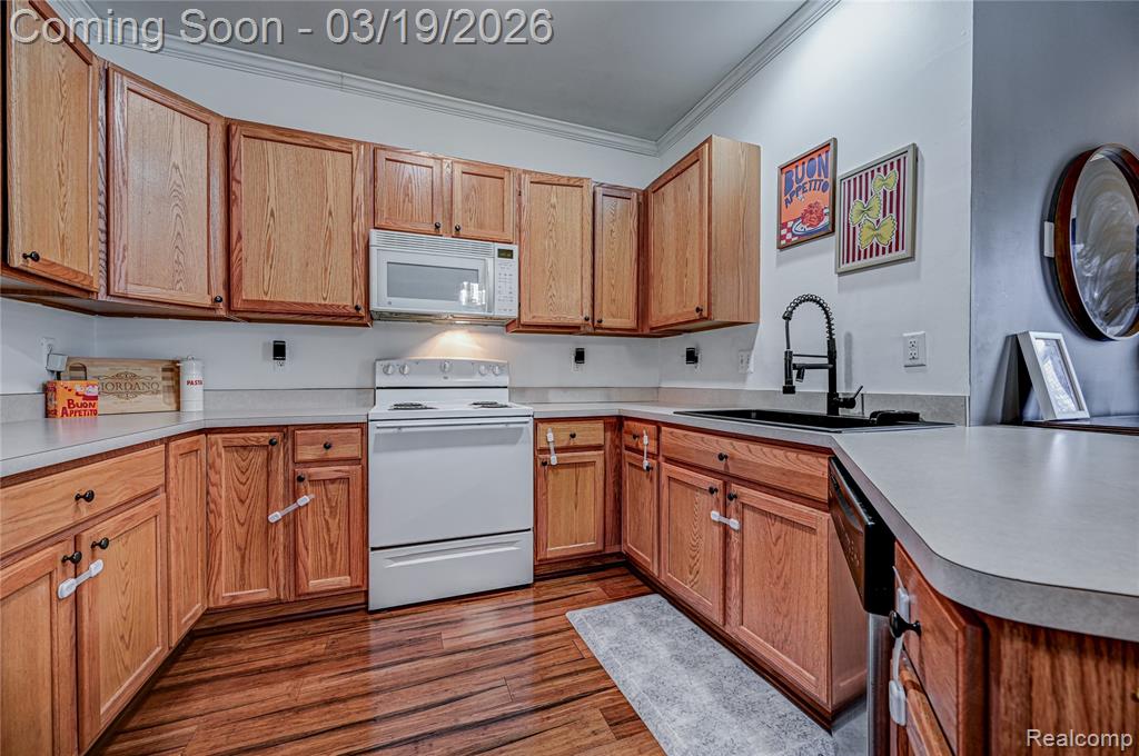 25703 Maritime Circle N, Harrison Township, MI — Photo 15