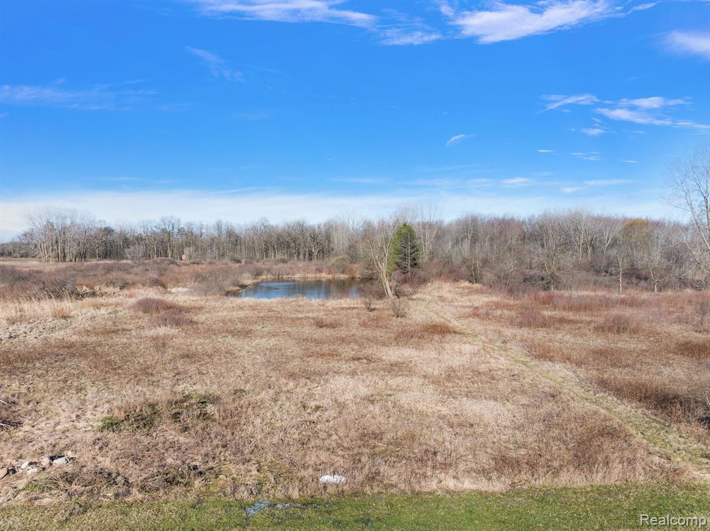 435 Capac Road, Berlin, MI 48002 — Photo 54