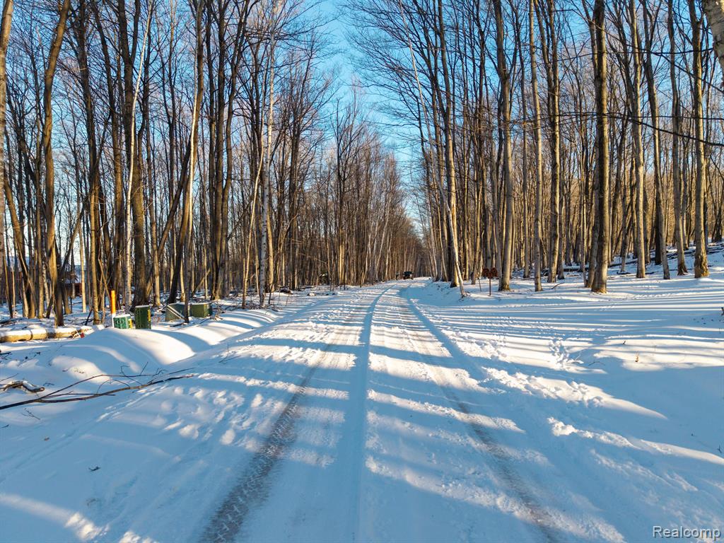 lot 4 BAY RIDGE ESTATES Drive, Ellsworth, MI 49729 — Photo 4