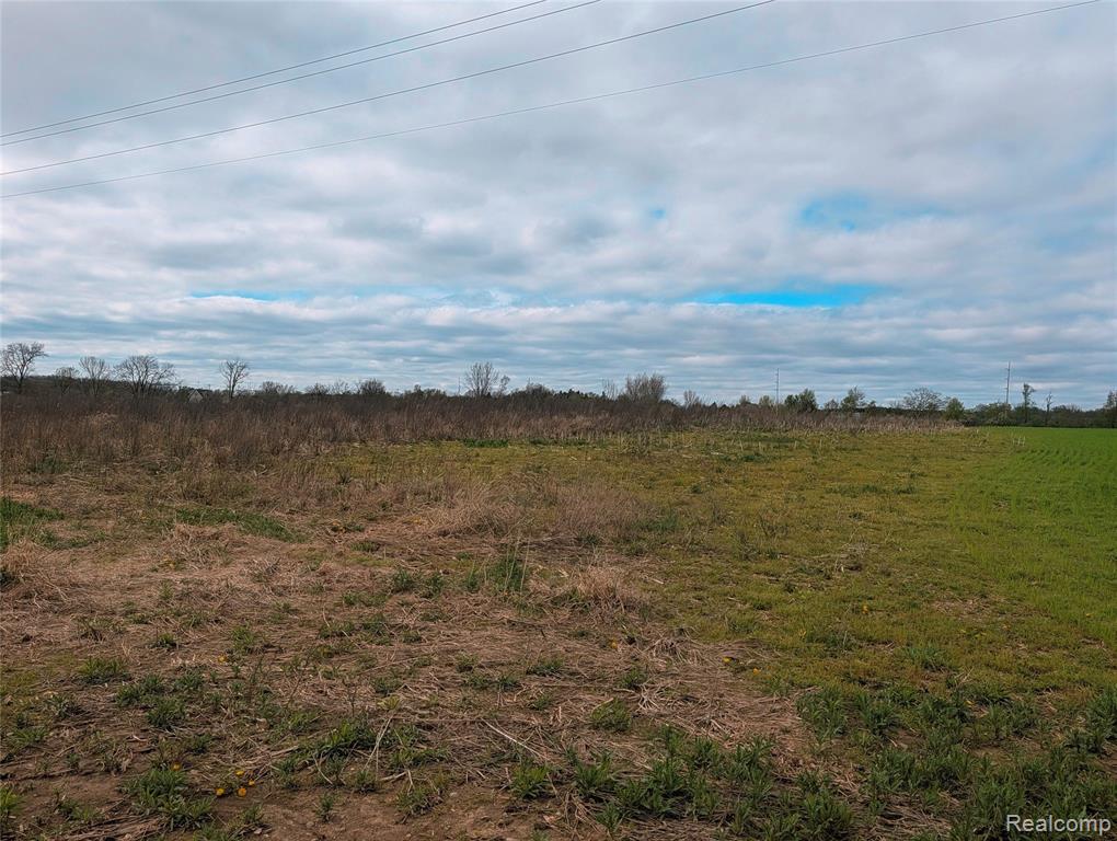 Parcel E Hogan Road, Linden, MI 48451 — Photo 19