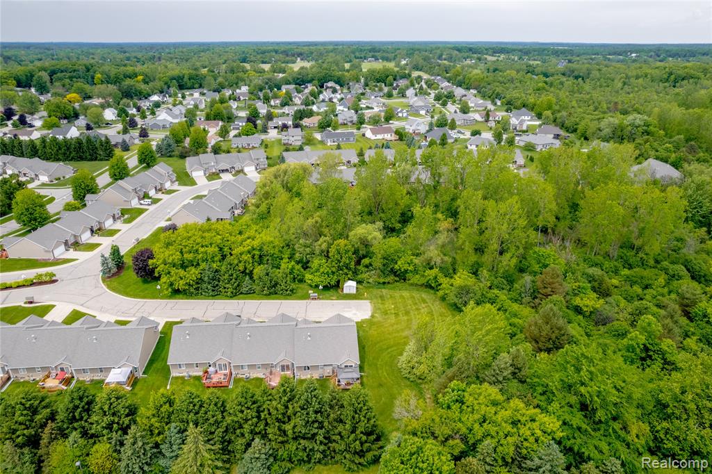 9006 Spring Brook Circle, Davison, MI 48423 — Photo 3