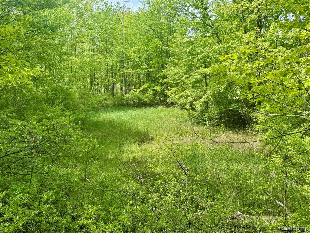 499 E Winegars Road, Gladwin, MI 48624 — Photo 7