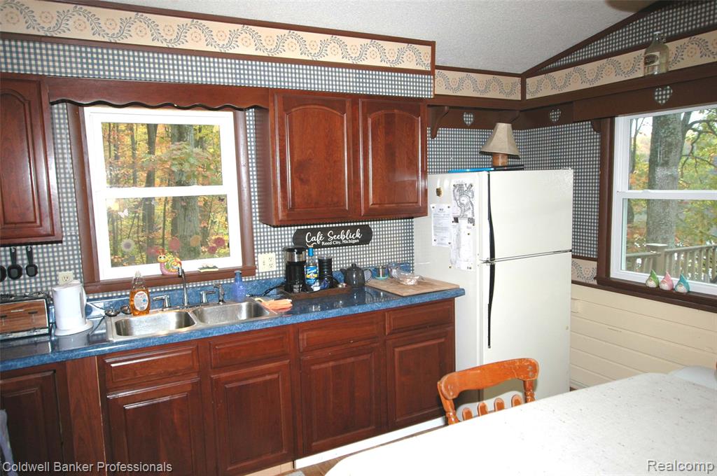 10120 Alpine Drive, Reed City, MI 49677 — Photo 5