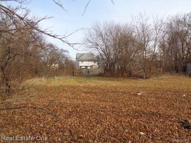 3806 BELVIDERE Street, Detroit, MI 48214 — Photo 3