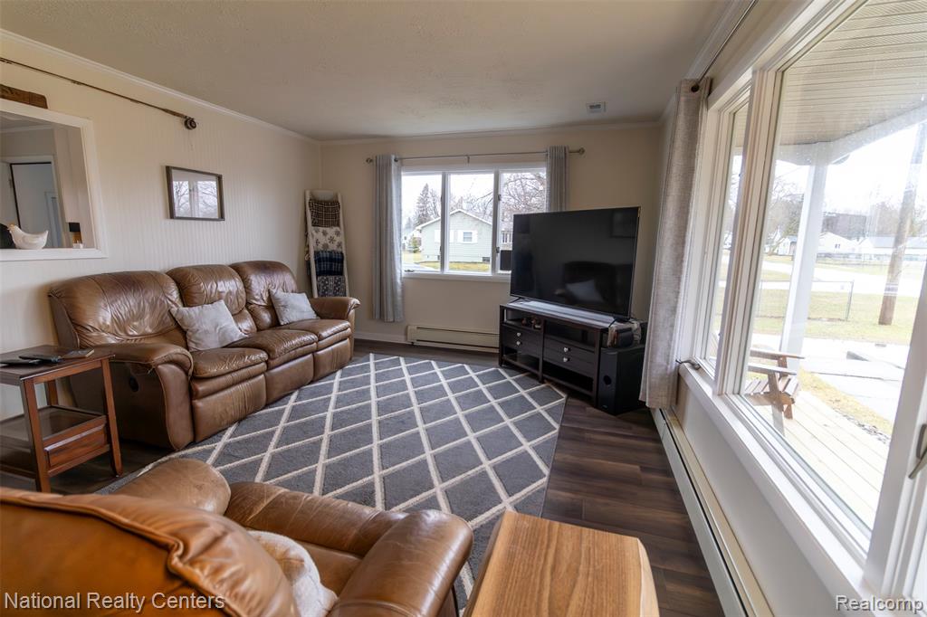 529 N Watkins, Perry, MI 48872 — Photo 6