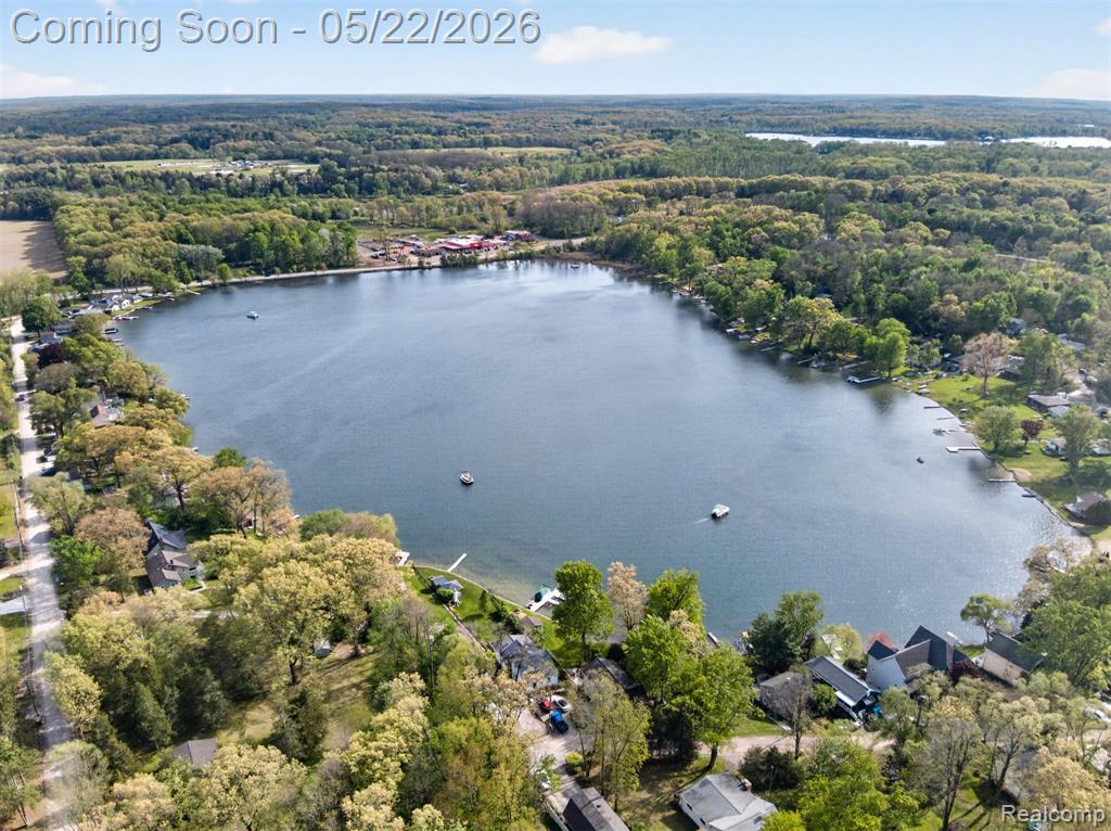 6548 Buckshore Drive, Whitmore Lake, MI 48189 — Photo 42