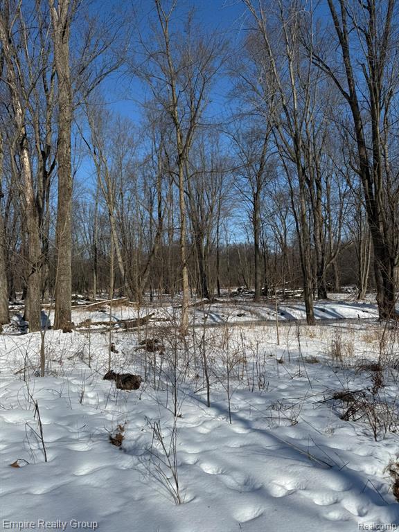 660 Fitchburg Road, Stockbridge, MI 49285 — Photo 10