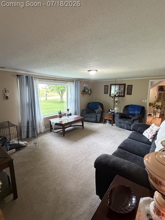 4070 Blood Road, Metamora, MI 48455 — Photo 13