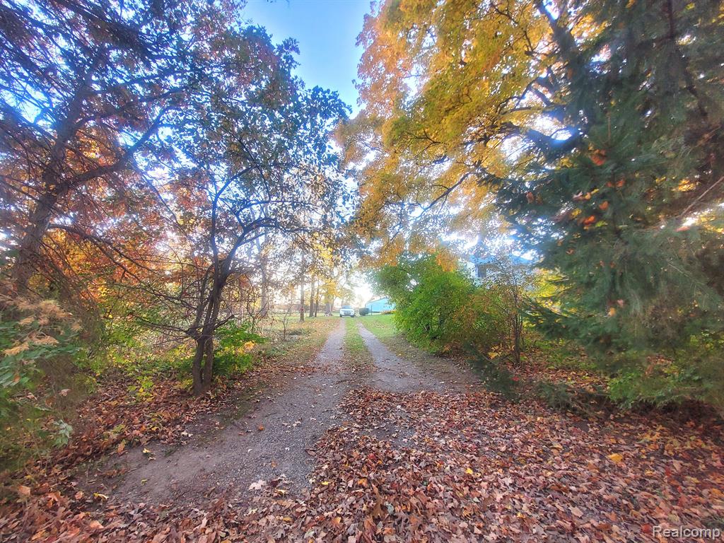 16571 DOYLE Road, Stockbridge, MI 49285 — Photo 4
