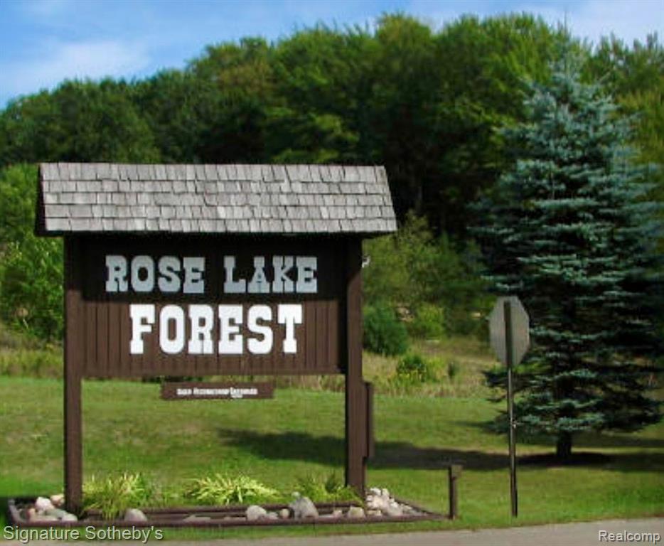 229 Forest Trail, Leroy, MI 49655 — Photo 4