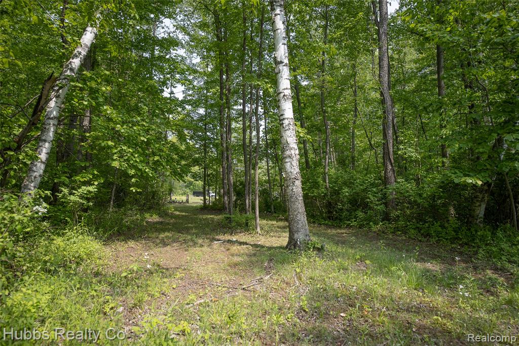 3960 Hanes Road, Vassar, MI 48768 — Photo 53