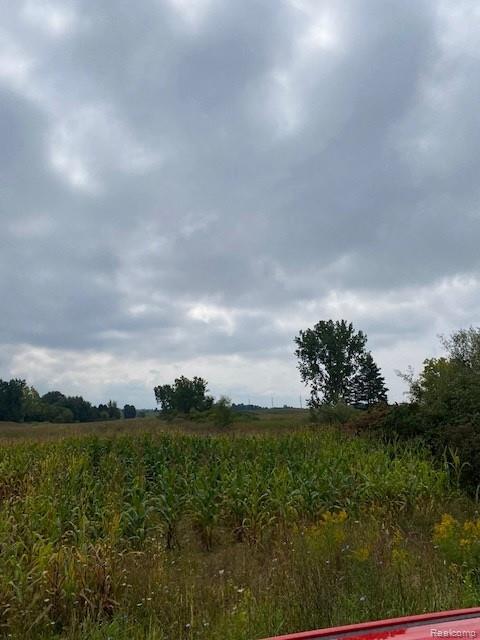 7451 Fostoria Road, Mayville Vlg, MI 48744 — Photo 34