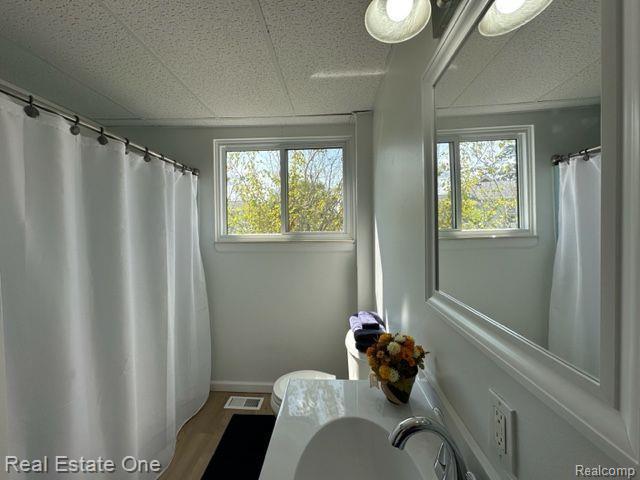 429 EGAN Highway, Brooklyn, MI 49230 — Photo 17
