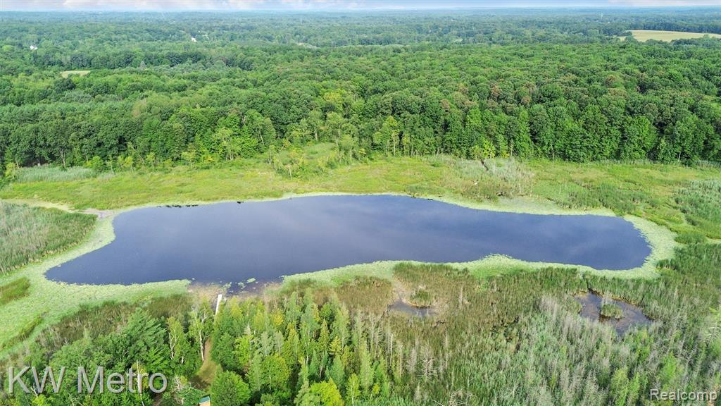 355 Dockham Road, Columbiaville, MI 48421 — Photo 49