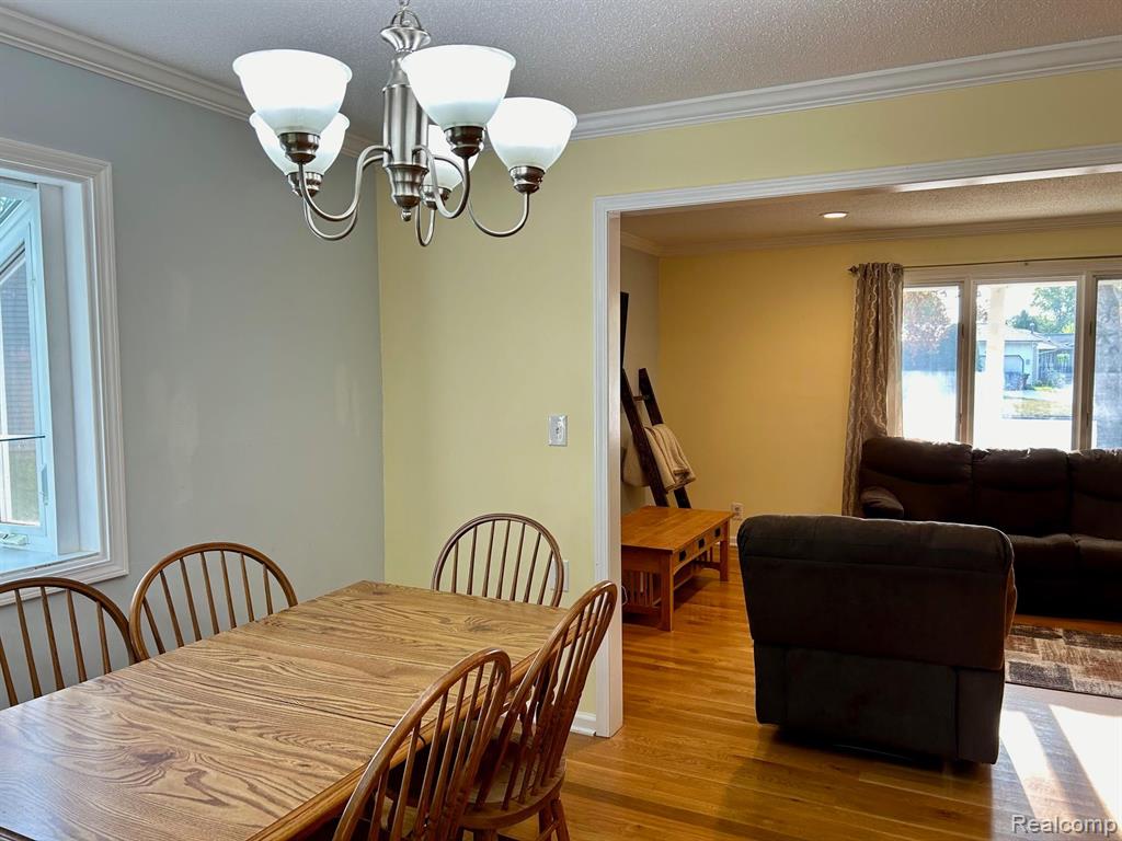 413 MARION, Clinton, MI 49236 — Photo 9