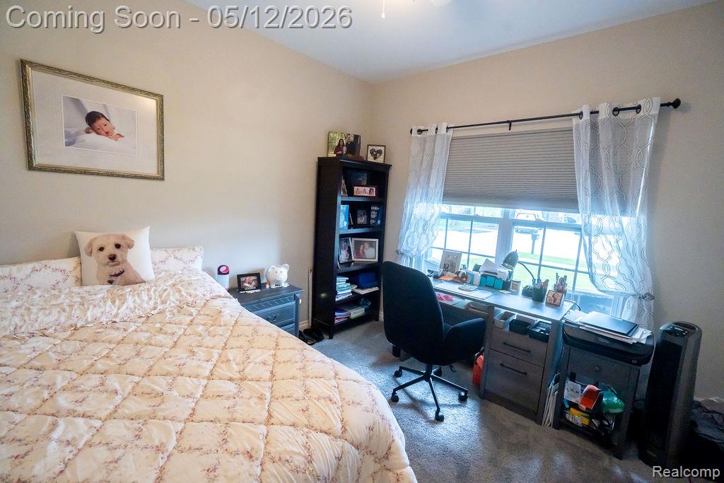 21097 McGuire, Romulus, MI 48174 — Photo 30