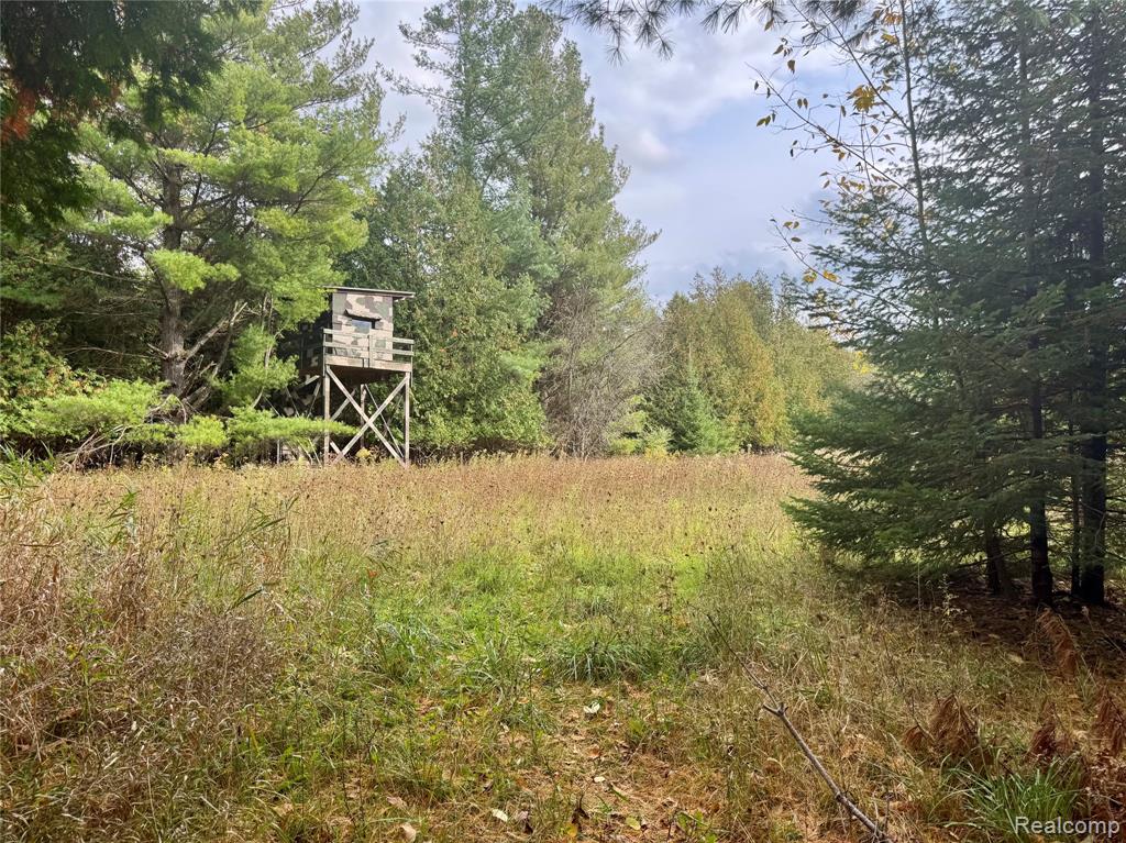 2446 Spayde Road, Charlevoix, MI 49720 — Photo 41
