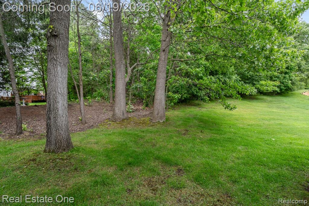 6595 Scenic Pines Court, Clarkston, MI — Photo 33