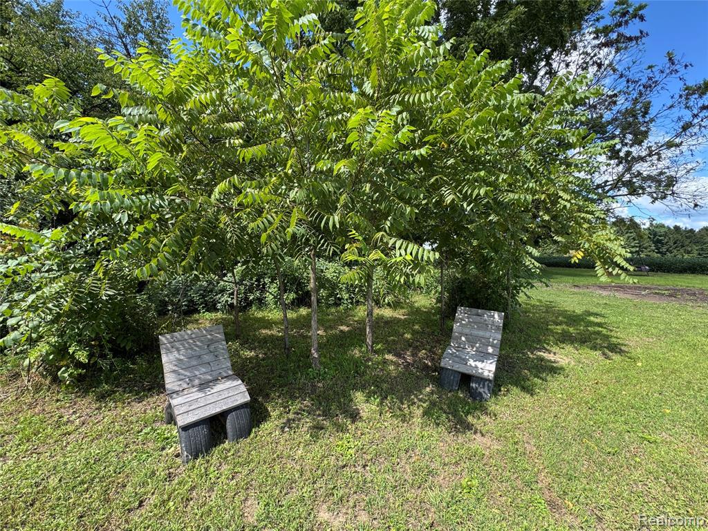 6168 Lynd Road, Marlette, MI 48453 — Photo 11