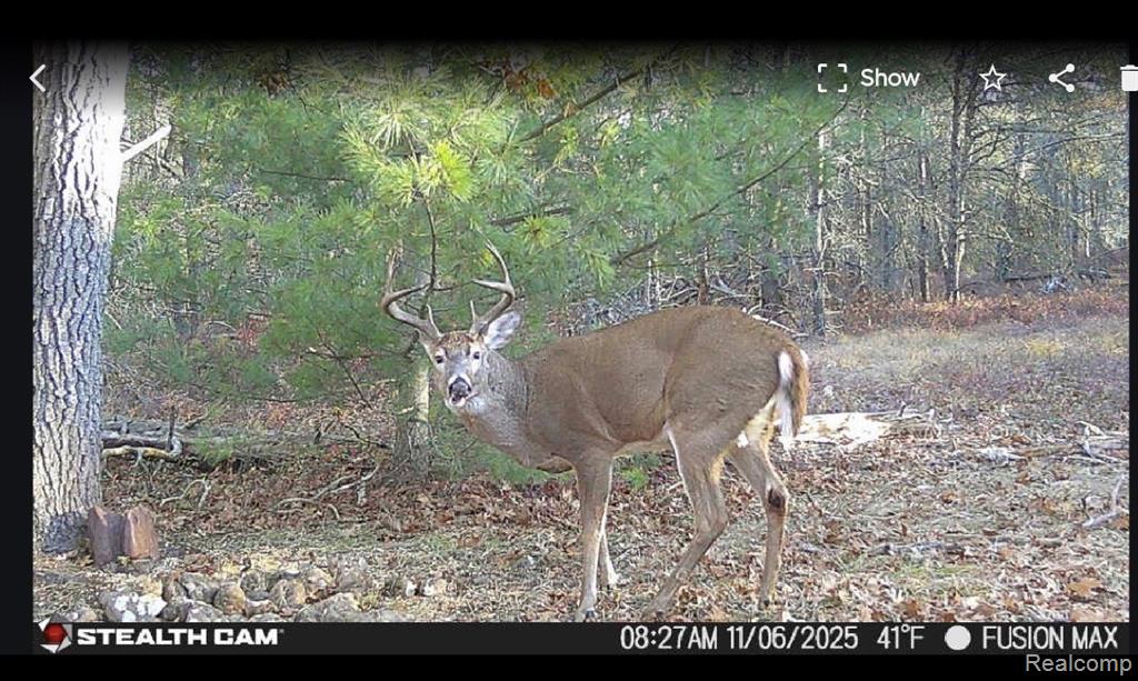 VL W AuSable Point Road, Oscoda, MI 48750 — Photo 2