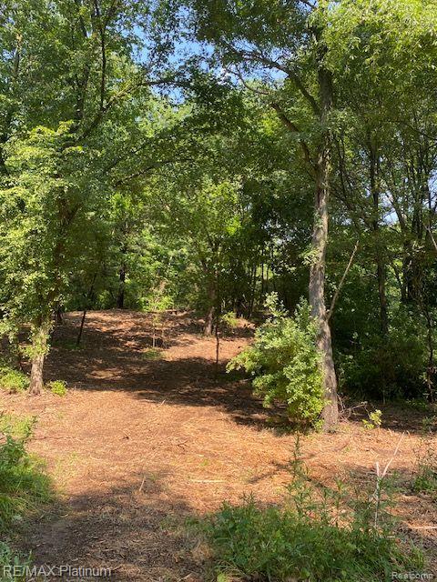 5 Sleaford-Parcel 5 - 2.5 Acres Road, Howell, MI 48843 — Photo 14