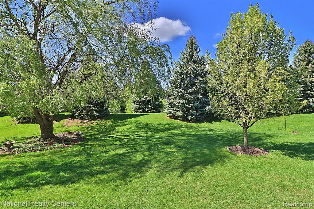 44454 BIRCHWOOD Court, Northville, MI 48168 — Photo 7