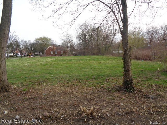 7375 BRACE Street, Detroit, MI 48228 — Photo 24