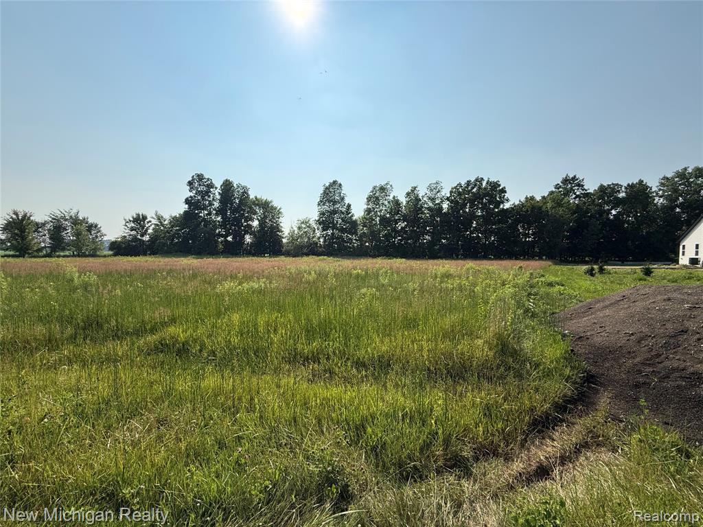 9807 Oak Ridge Road, New Lothrop, MI 48460 — front exterior