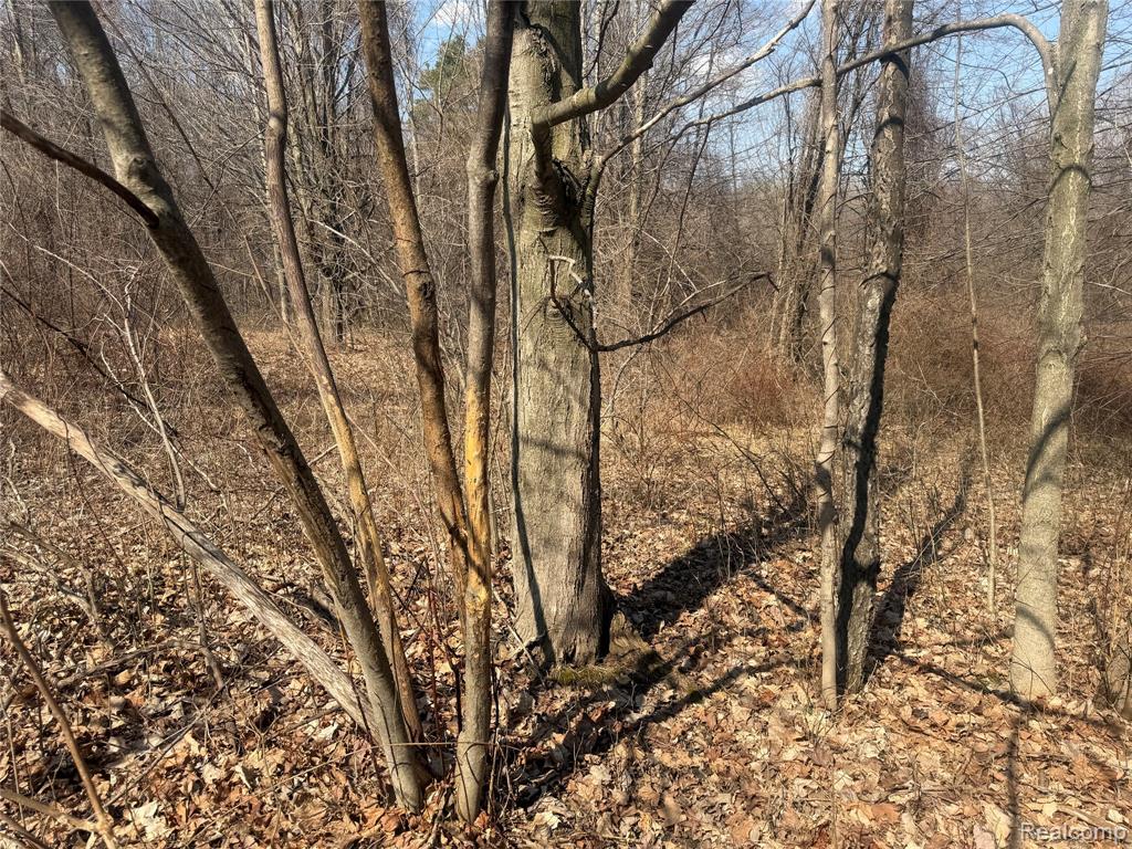 V/L Fulton, Mayville Vlg, MI 48744 — Photo 12