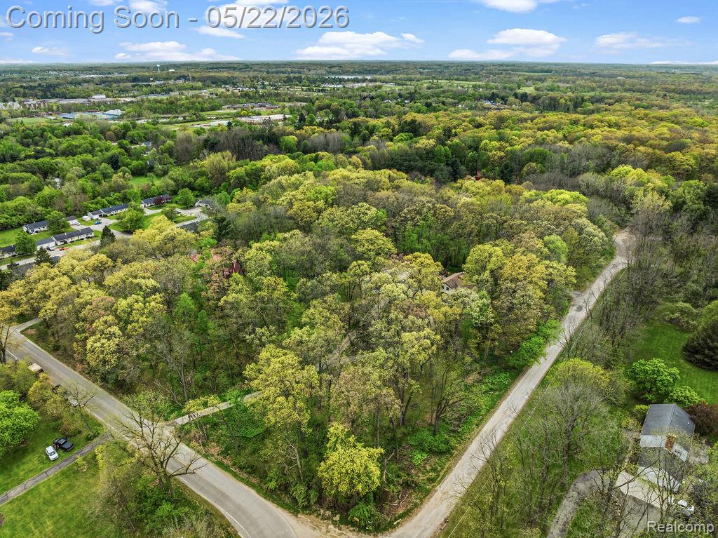 11111 Hibner Road, Hartland, MI 48353 — Photo 49