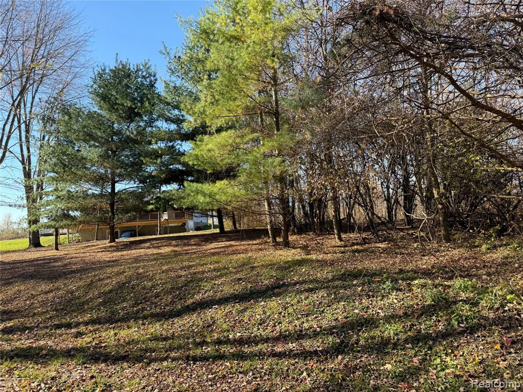 5371 Cade Road, Imlay City, MI 48444 — Photo 19