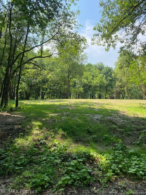3 Sleaford-Parcel 3-3.17 Acres Road, Howell, MI 48843 — Photo 28