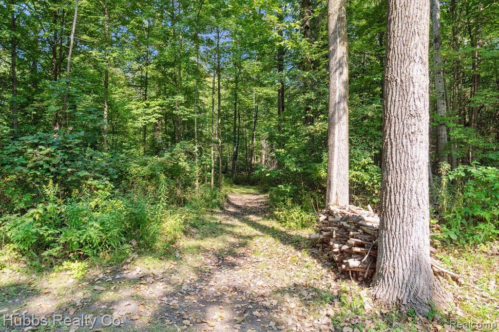 1247 E BURT Road, Burt, MI 48417 — Photo 58